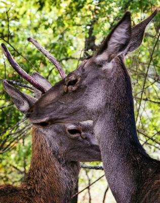 Прикрепленное изображение: IMG_3466.jpg